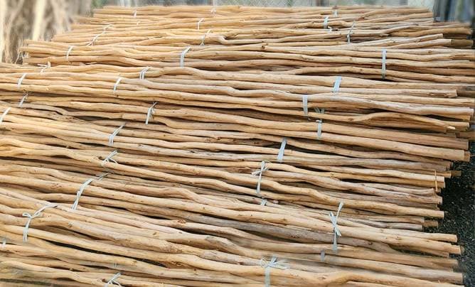 Cây bạch đàn lột vỏ (Dài 3m, Ø6-10cm) --- Peeled eucalyptus wood poles (Length 3m, Ø6-10cm)
