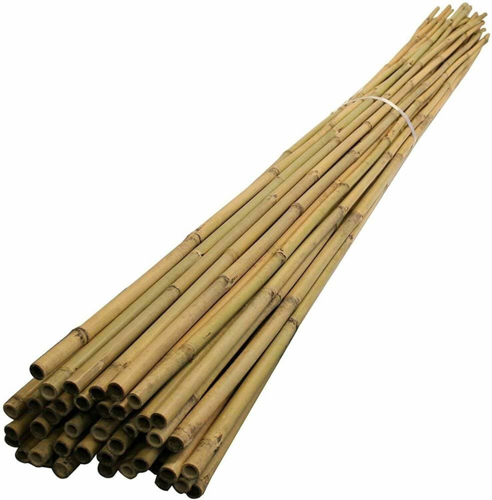 Cây tre nguyên liệu đã qua xử lý --- Treated raw bamboo poles
